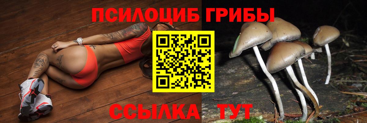 Кировск  цены   Вход с VPN  Галлюциногенные грибы MAGIC MUSHROOMS 