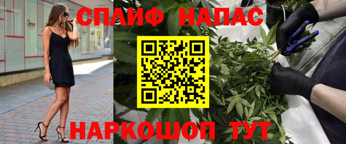Конопля конопля  Вход с VPN  Кировск  МАРИХУАНА MAZAR  Конопля ГИДРОПОН 